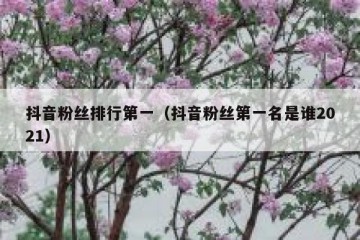 抖音粉丝排行第一（抖音粉丝第一名是谁2021）