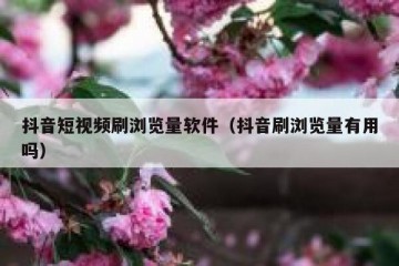 抖音短视频刷浏览量软件（抖音刷浏览量有用吗）