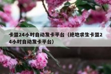 卡盟24小时自动发卡平台（绝地求生卡盟24小时自动发卡平台）