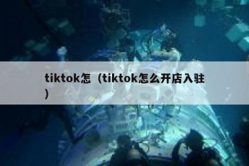 tiktok怎（tiktok怎么开店入驻）