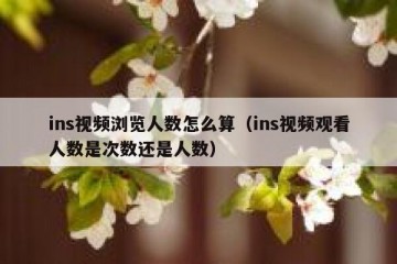 ins视频浏览人数怎么算（ins视频观看人数是次数还是人数）