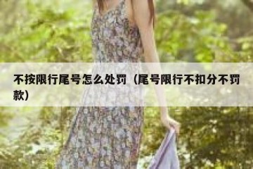 不按限行尾号怎么处罚（尾号限行不扣分不罚款）
