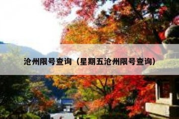 沧州限号查询（星期五沧州限号查询）