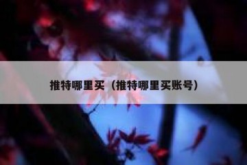 推特哪里买（推特哪里买账号）