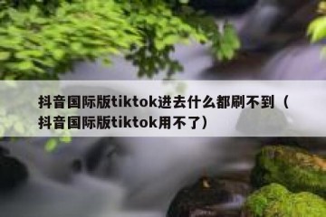 抖音国际版tiktok进去什么都刷不到（抖音国际版tiktok用不了）