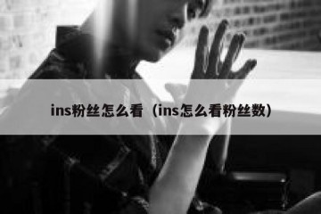 ins粉丝怎么看（ins怎么看粉丝数）