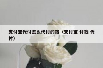 支付宝代付怎么代付的钱（支付宝 付钱 代付）