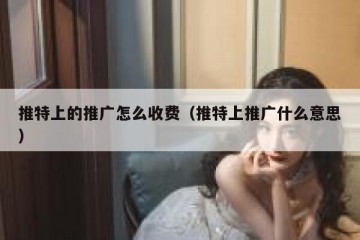 推特上的推广怎么收费（推特上推广什么意思）