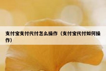 支付宝支付代付怎么操作（支付宝代付如何操作）