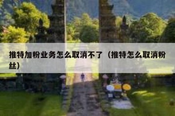 推特加粉业务怎么取消不了（推特怎么取消粉丝）