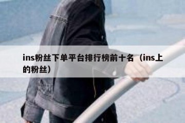 ins粉丝下单平台排行榜前十名（ins上的粉丝）