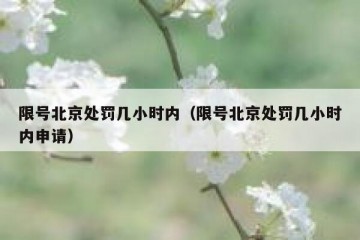 限号北京处罚几小时内（限号北京处罚几小时内申请）