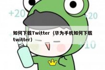 如何下载Twitter（华为手机如何下载twitter）