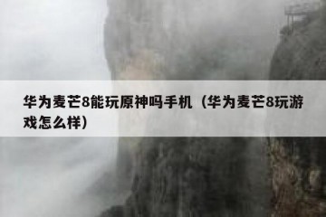 华为麦芒8能玩原神吗手机（华为麦芒8玩游戏怎么样）