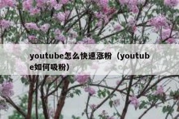 youtube怎么快速涨粉（youtube如何吸粉）