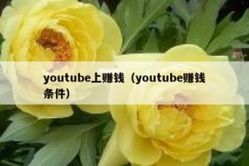 youtube上赚钱（youtube赚钱条件）