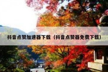 抖音点赞加速器下载（抖音点赞器免费下载）