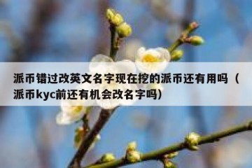 派币错过改英文名字现在挖的派币还有用吗（派币kyc前还有机会改名字吗）