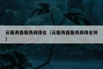 云服务器服务商排名（云服务器服务商排名榜）