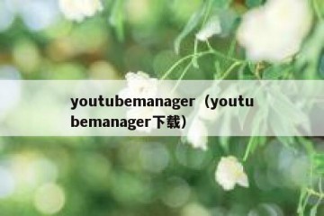youtubemanager（youtubemanager下载）