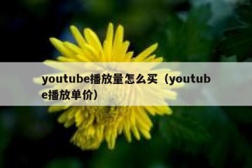 youtube播放量怎么买（youtube播放单价）
