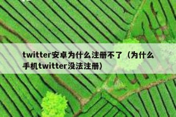 twitter安卓为什么注册不了（为什么手机twitter没法注册）