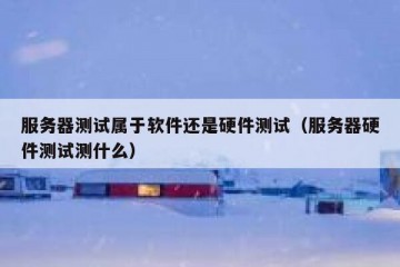 服务器测试属于软件还是硬件测试（服务器硬件测试测什么）