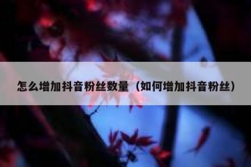 怎么增加抖音粉丝数量（如何增加抖音粉丝）