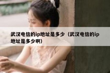 武汉电信的ip地址是多少（武汉电信的ip地址是多少啊）