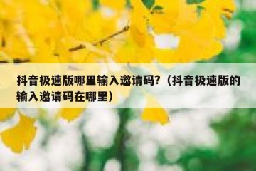 抖音极速版哪里输入邀请码?（抖音极速版的输入邀请码在哪里）
