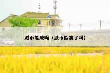 派币能成吗（派币能卖了吗）