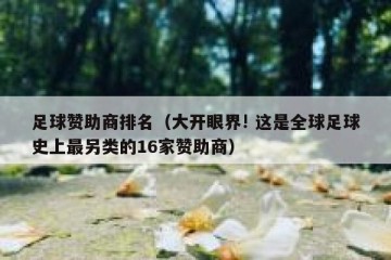 足球赞助商排名（大开眼界! 这是全球足球史上最另类的16家赞助商）