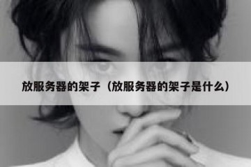 放服务器的架子（放服务器的架子是什么）