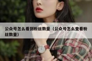 公众号怎么看到粉丝数量（公众号怎么查看粉丝数量）