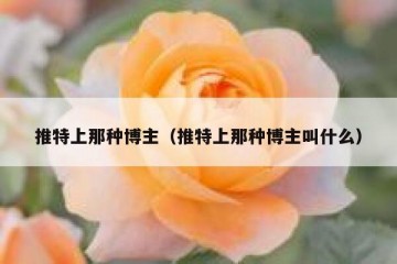 推特上那种博主（推特上那种博主叫什么）