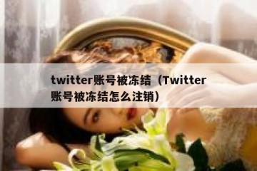 twitter账号被冻结（Twitter账号被冻结怎么注销）
