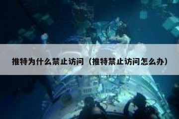 推特为什么禁止访问（推特禁止访问怎么办）