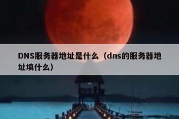 DNS服务器地址是什么（dns的服务器地址填什么）