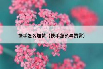 快手怎么加赞（快手怎么弄赞赏）