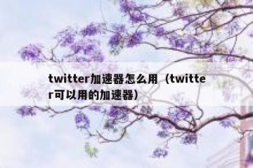 twitter加速器怎么用（twitter可以用的加速器）