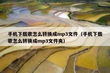 手机下载歌怎么转换成mp3文件（手机下载歌怎么转换成mp3文件夹）