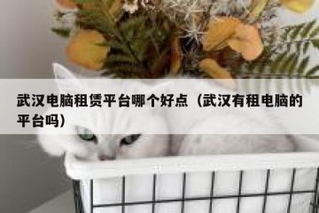 武汉电脑租赁平台哪个好点（武汉有租电脑的平台吗）