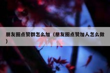 朋友圈点赞群怎么加（朋友圈点赞加人怎么做）