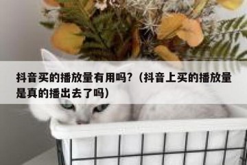 抖音买的播放量有用吗?（抖音上买的播放量是真的播出去了吗）