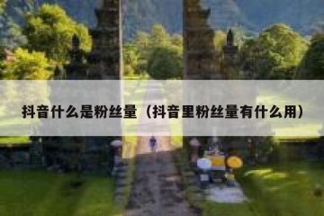 抖音什么是粉丝量（抖音里粉丝量有什么用）