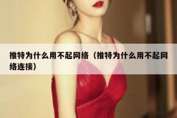 推特为什么用不起网络（推特为什么用不起网络连接）