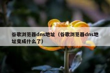 谷歌浏览器dns地址（谷歌浏览器dns地址变成什么了）