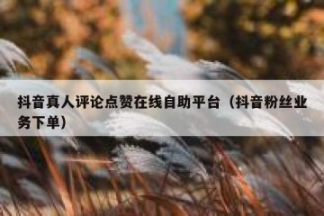 抖音真人评论点赞在线自助平台（抖音粉丝业务下单）