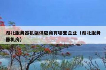 湖北服务器机架供应商有哪些企业（湖北服务器机房）