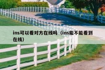 ins可以看对方在线吗（ins能不能看到在线）